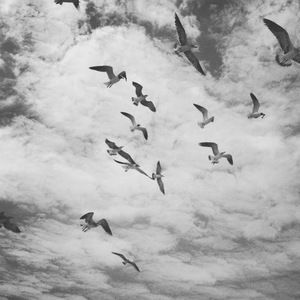 Meet your Posher, Set apart